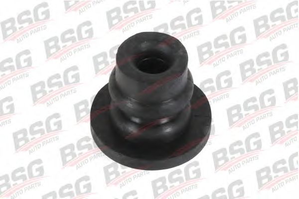 Прокладка, кронштейн вентилятора радиатора BSG BSG 30-700-273