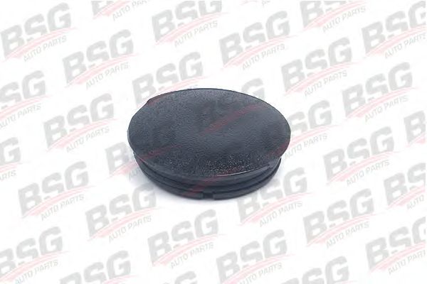Затычка, корпус - внешнее зеркало BSG BSG 30-916-003