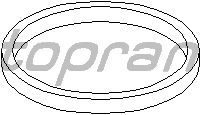 Уплотнительное кольцо масляного радиатора TOPRAN 109 621