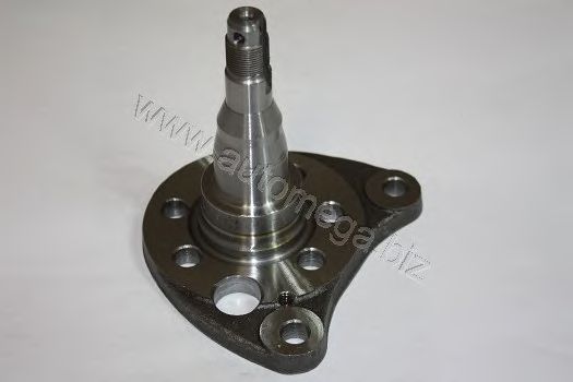 Ступиця колеса AUTOMEGA 3040706216Q0AB