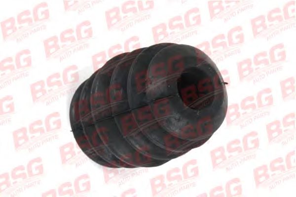 Пылезащитный комплект, пыльник, отбойник BSG BSG 30-700-169