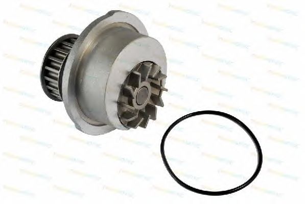 Помпа THERMOTEC D1X012TT