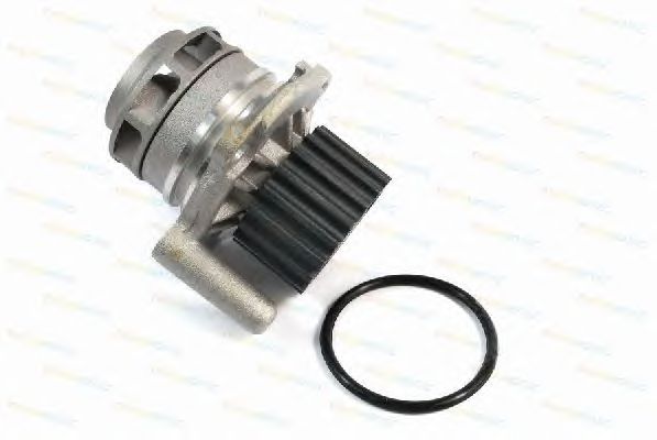 Помпа THERMOTEC D1A024TT