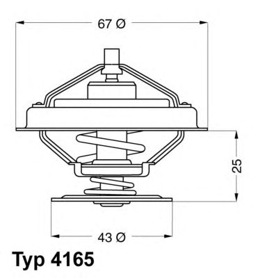 Термостат WAHLER 4165.79