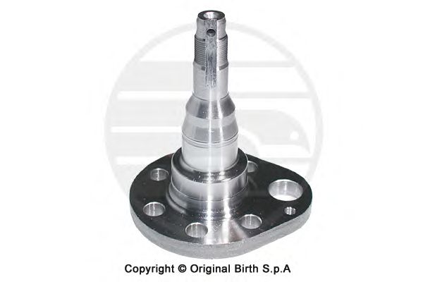 Ступица колеса BIRTH 3379