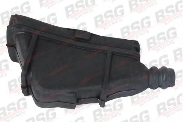 Торсионный демпфер, сцепление BSG BSG 30-700-014