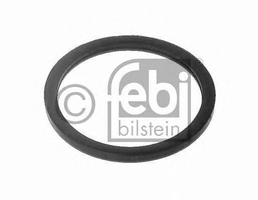 Прокладка термостата FEBI BILSTEIN 10255