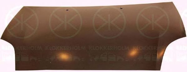 Капот KLOKKERHOLM 2029280