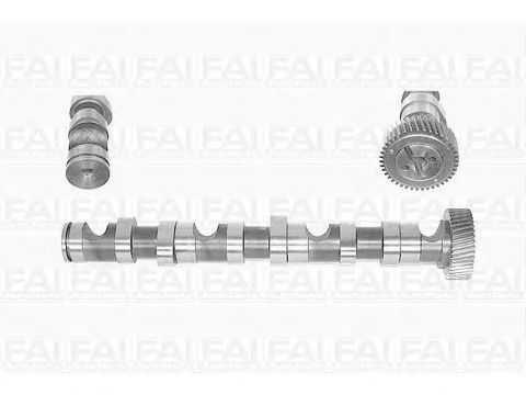 Шток FAI AutoParts C247