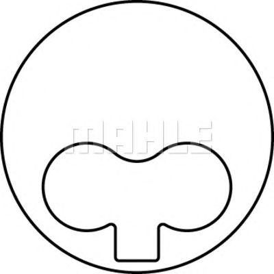 Поршень MAHLE ORIGINAL 009 38 00