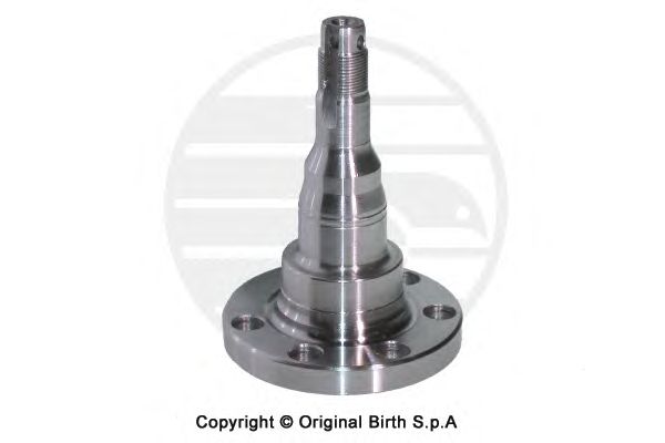 Ступица колеса BIRTH 3270