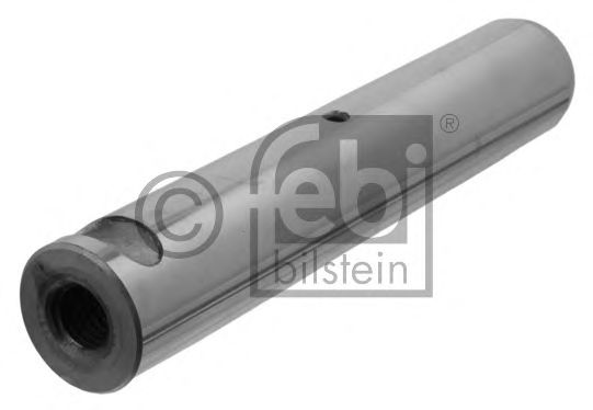 Палець вушка ресори FEBI BILSTEIN 09581