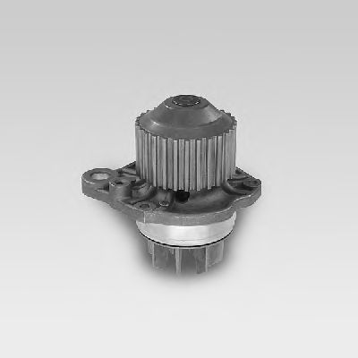 Помпа HEPU P890