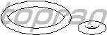 Регулятор давления топлива TOPRAN 100 736