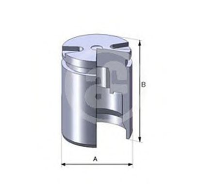 Поршень тормозного суппорта AUTOFREN SEINSA D02525