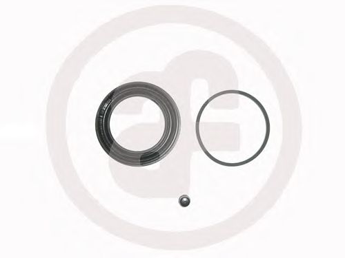 Ремкомплект суппорта AUTOFREN SEINSA D4346