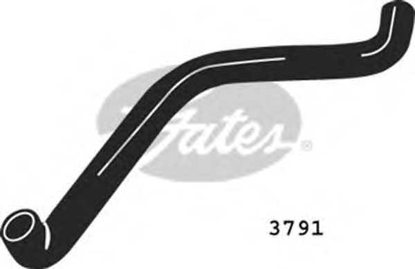 Шланг радиатора GATES 3791