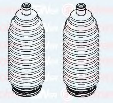 Комплект пыльников рулевой рейки AUTOFREN SEINSA D9213C