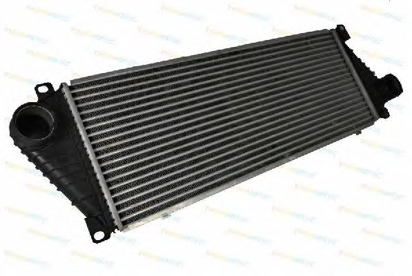 Интеркулер THERMOTEC DAM001TT