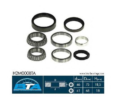 Ступичный подшипник BTA H2M000BTA