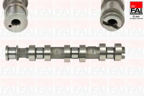 Шток FAI AutoParts C318