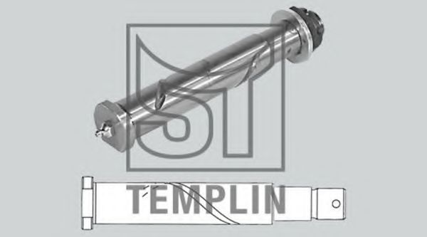 Палець вушка ресори ST-TEMPLIN 18.010.0120.000