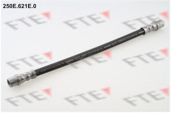 Тормозной шланг FTE 250E.621E.0