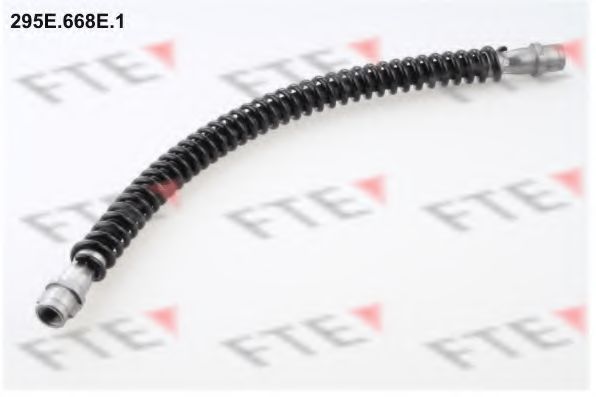 Тормозной шланг FTE 295E.668E.1