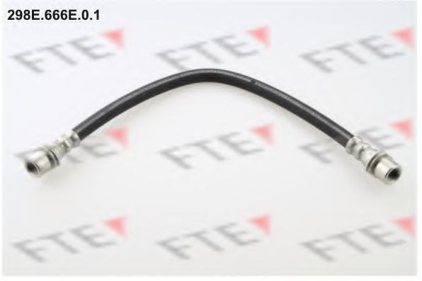 Гальмівний шланг FTE 298E.666E.0.1