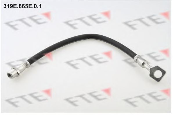 Тормозной шланг FTE 319E.865E.0.1