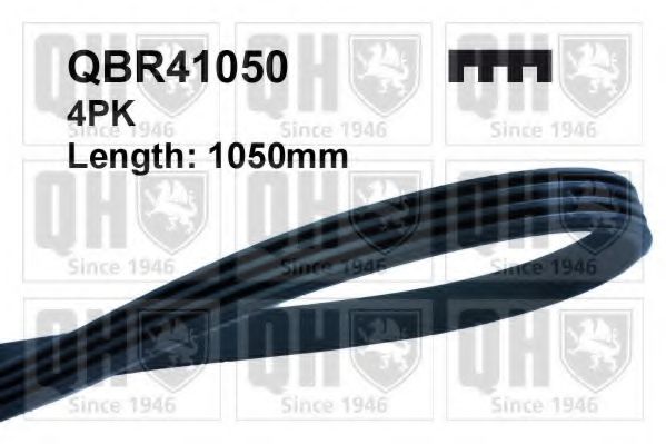 Поликлиновой ремінь QUINTON HAZELL QBR41050