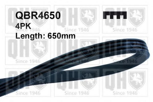 Поликлиновой ремень QUINTON HAZELL QBR4650
