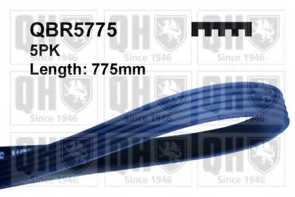 Поликлиновой ремень QUINTON HAZELL QBR5775
