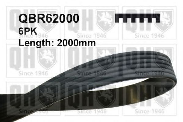 Поликлиновой ремень QUINTON HAZELL QBR62000