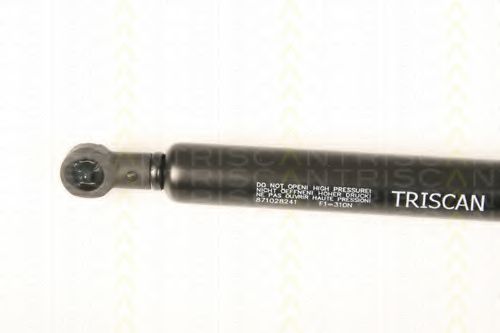 Газовая пружина, крышка багажник TRISCAN 8710 28241 - Фото 1