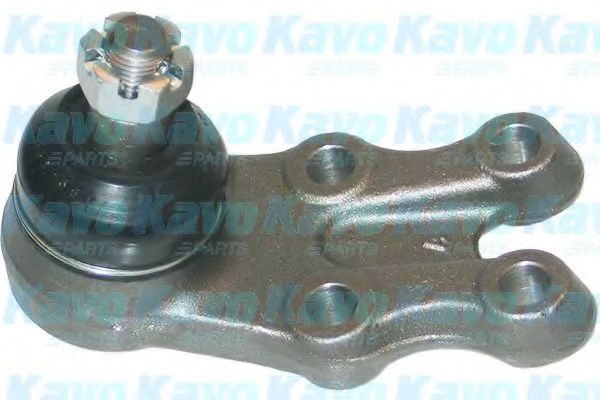 Несущий / направляющий шарнир KAVO PARTS SBJ-5520