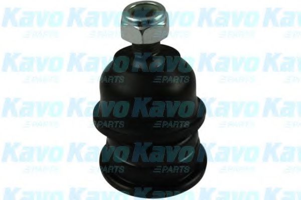 Несучий / направляючий шарнір KAVO PARTS SBJ-5501