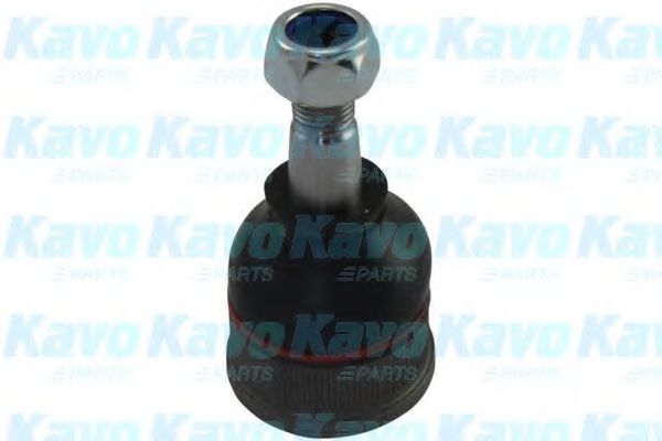 Несучий / направляючий шарнір KAVO PARTS SBJ-4536