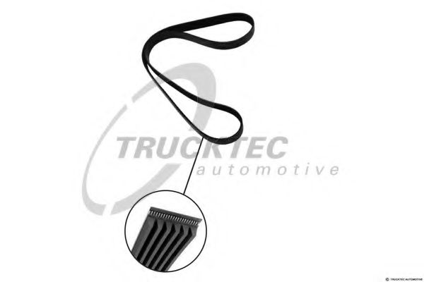 Поликлиновой ремень TRUCKTEC AUTOMOTIVE 02.19.230