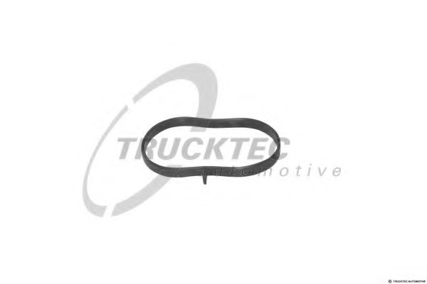 Прокладка корпуса впускного коллектора TRUCKTEC AUTOMOTIVE 02.16.057