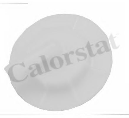 Пробка расширительного бачка CALORSTAT by Vernet RC0176