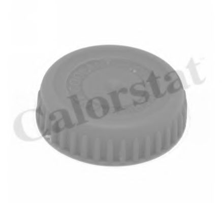 Пробка расширительного бачка CALORSTAT by Vernet RC0185