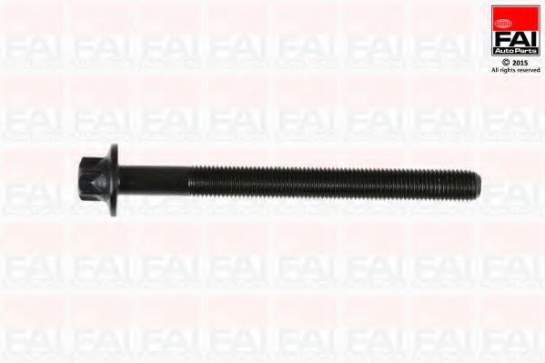 Комплект болтов головки блока цилиндров (ГБЦ) FAI AutoParts B896