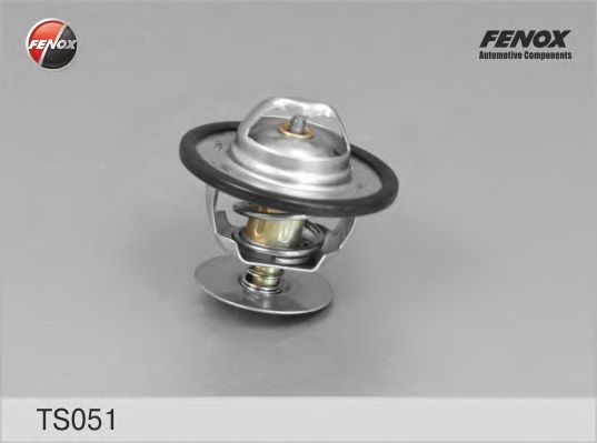 Термостат FENOX TS051