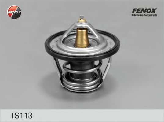 Термостат FENOX TS113