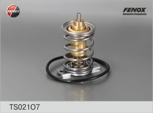 Термостат FENOX TS021O7