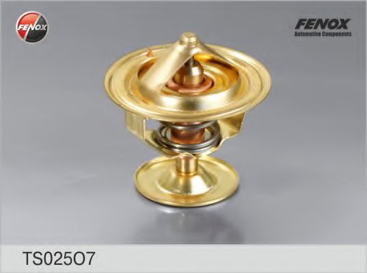 Термостат FENOX TS025O7