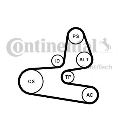 Комплект поликлинового ремня CONTITECH 6PK1564K1