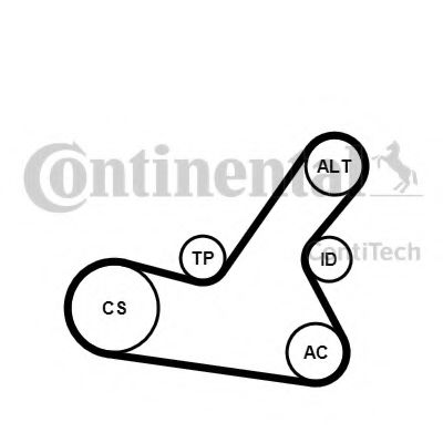 Комплект поликлинового ремня CONTITECH 6PK1564K2