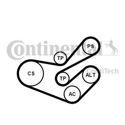 Комплект поликлинового ремня CONTITECH 6PK1750K3